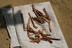 Bentola (Sri Lanka)