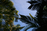 Teneriffa (Spanien)