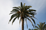 Teneriffa (Spanien)