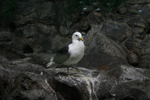 Teneriffa (Spanien)
